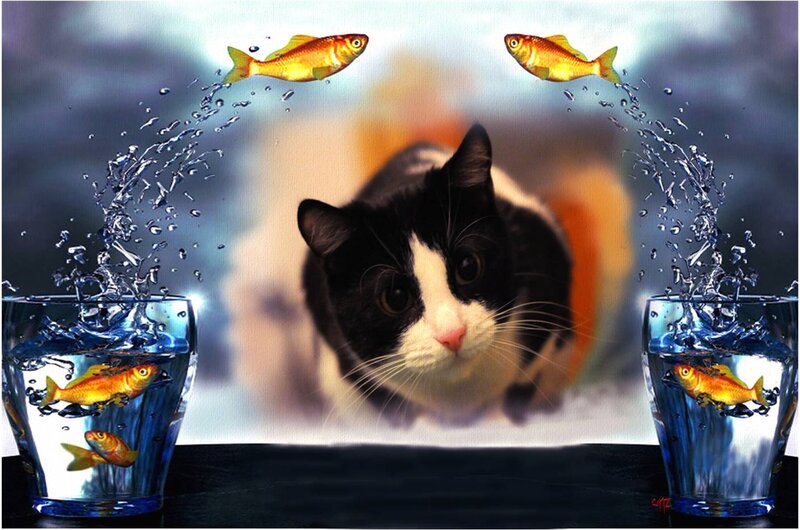 Black and White Cat — Blue, Dramatic, Digital Art