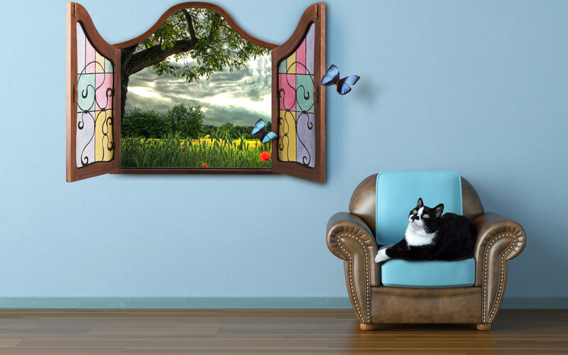 Black and White Cat — Blue, Serene, Afternoon, 3d Render