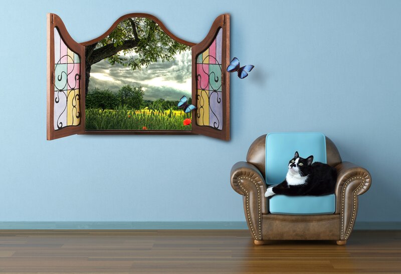 Black and White Cat — Blue, Serene, Afternoon, Digital Art, Armchair, Window