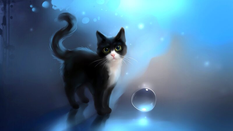 Black and White Cat — Blue, Serene, Digital Art