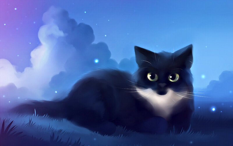Black and White Cat — Blue, Serene, Night, Digital Art, Grass