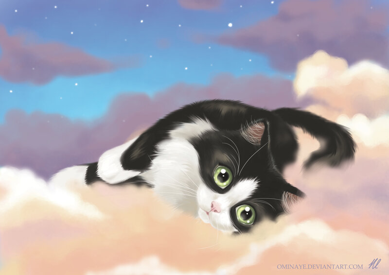 Black and White Cat — Blue, Serene, Night, Digital Art