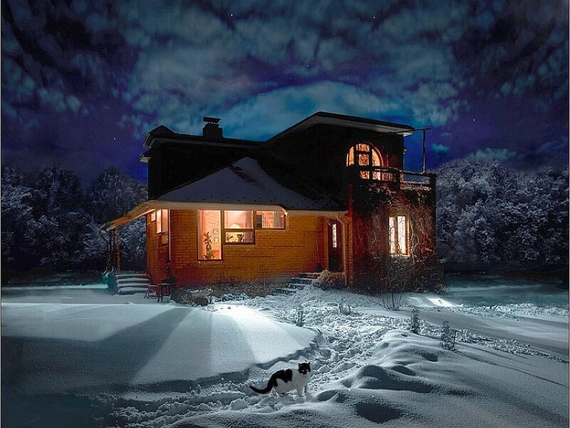 Black and White Cat — Blue, Serene, Night