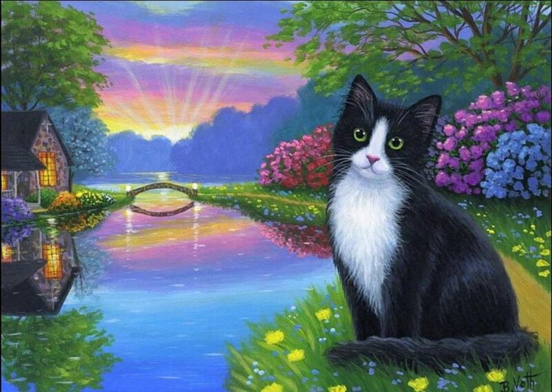 Black and White Cat — Blue, Serene, Sunset