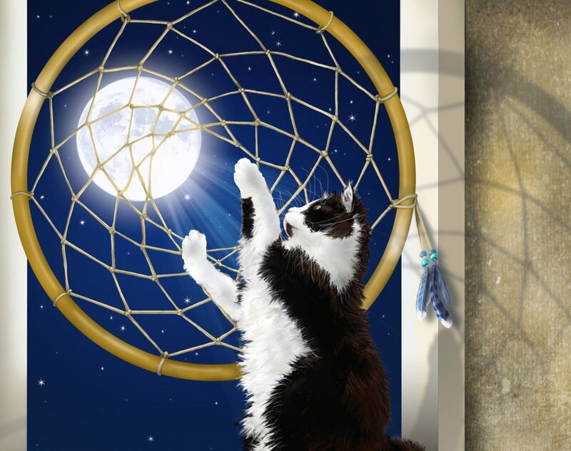 Black and White Cat — Blue, Serene