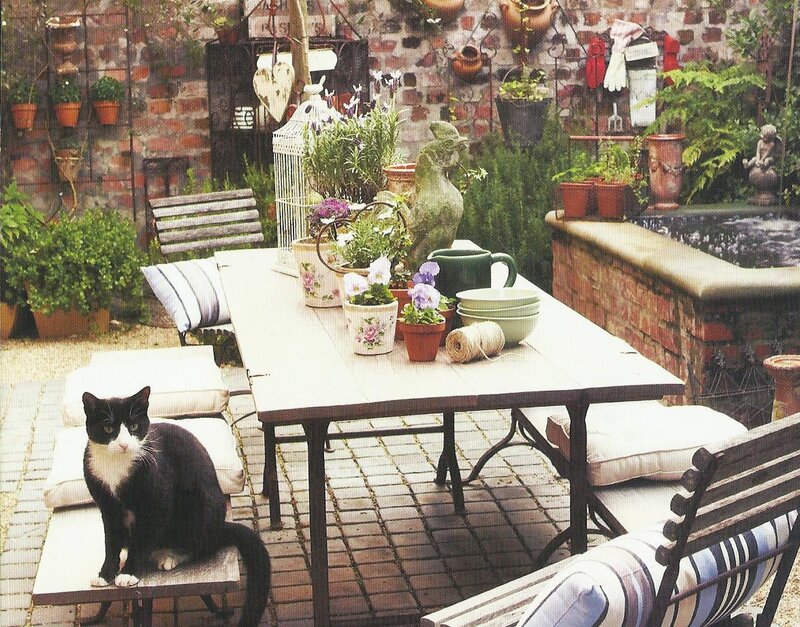 Black and White Cat — Brown, Serene