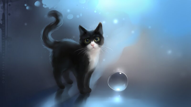 Black and White Cat — Bubble