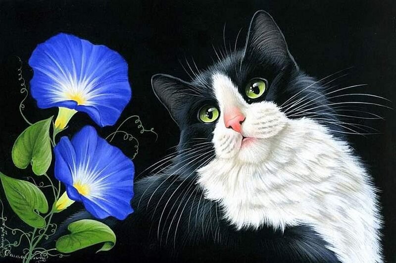 Black and White Cat — Calm, Night, Painting