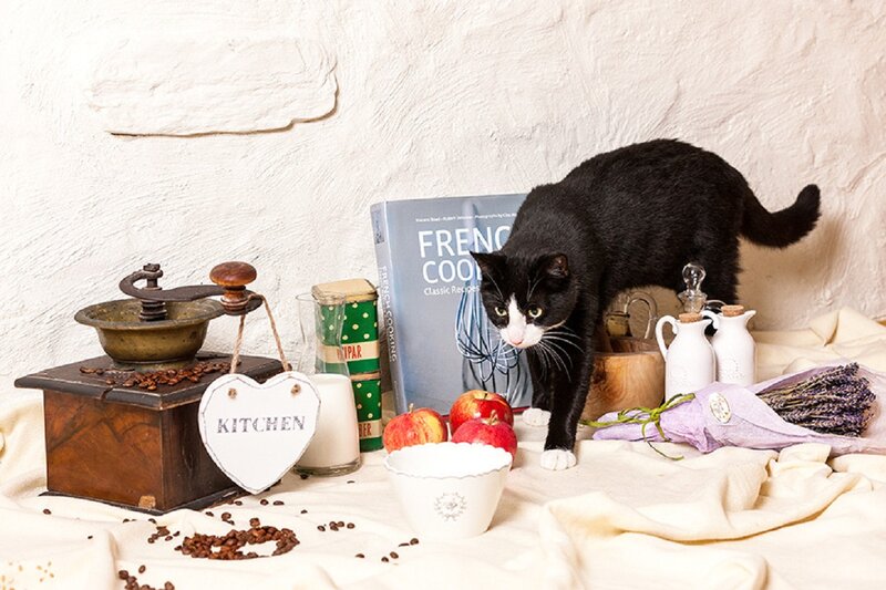 Black and White Cat — Calm, Photograph, Coffee Grinder