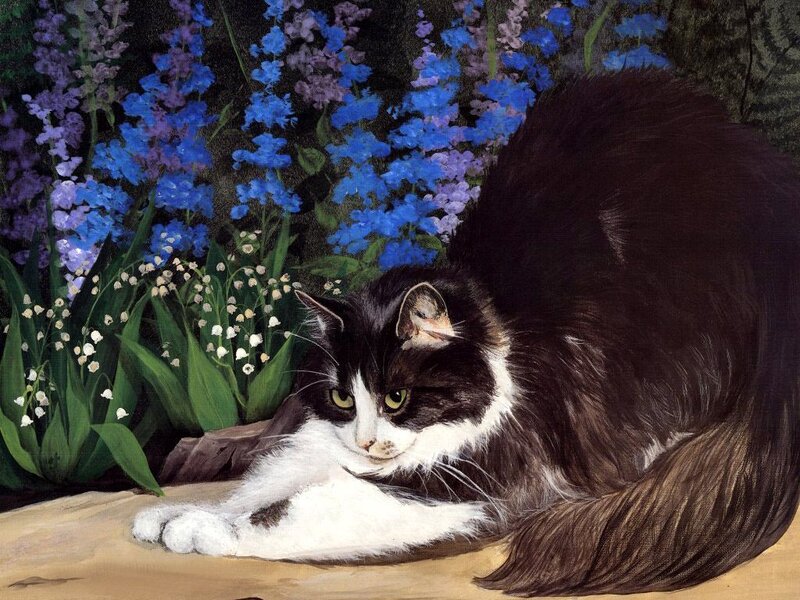 Black and White Cat — Calm, Spring