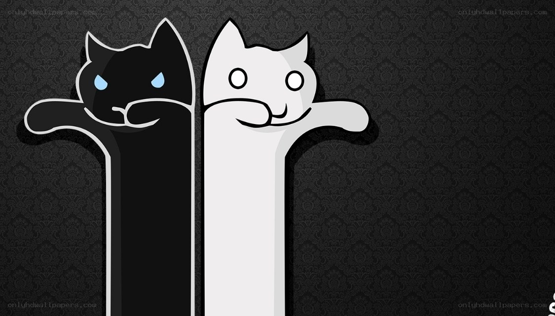 black and white cat characters