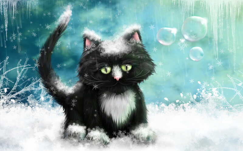 Black and White Cat — Cold, Winter, Digital Art
