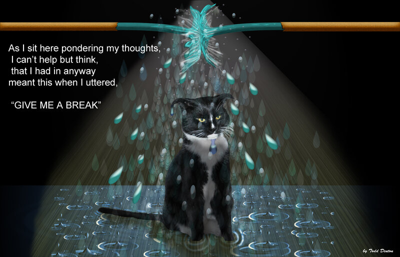 Black and White Cat — Dramatic, Digital Art, Rain