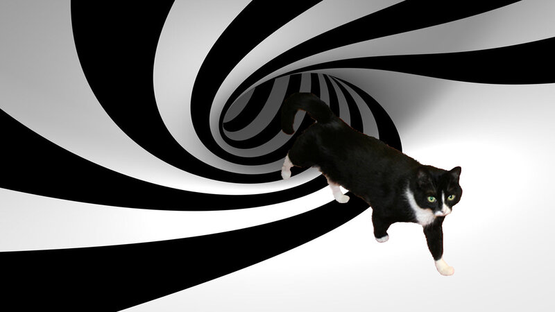 Black and White Cat — Dramatic, Digital Art, Tunnel