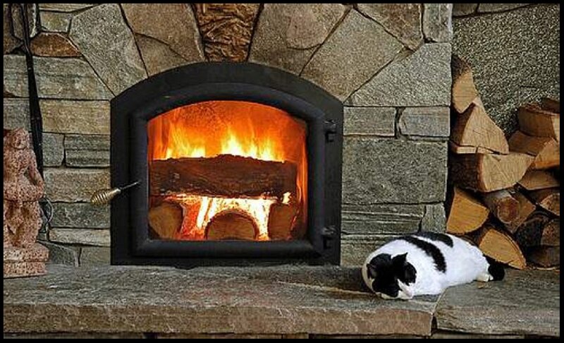 Black and White Cat — Gray, Cozy