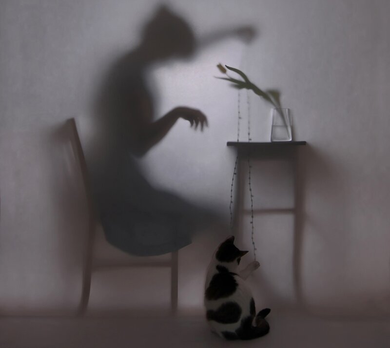 Black and White Cat — Gray, Dramatic