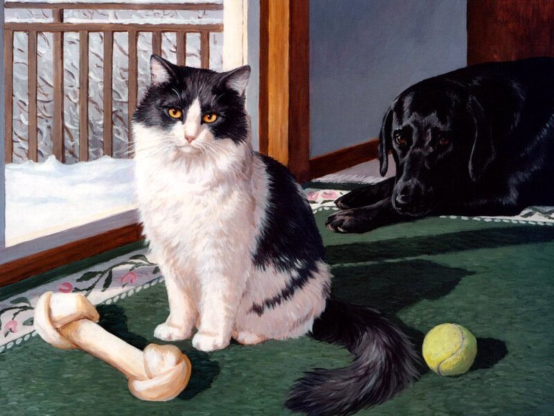 Black and White Cat — Green, Calm, Winter