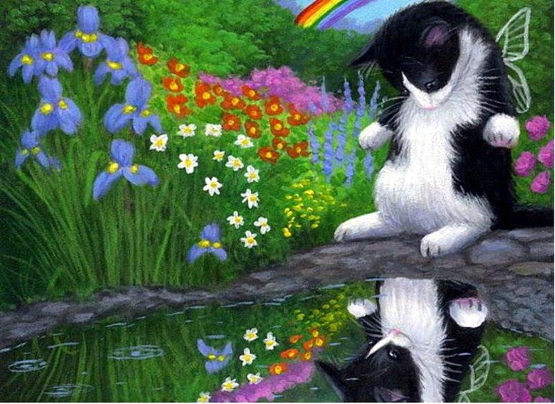 Black and White Cat — Green, Serene, Spring, Illustration