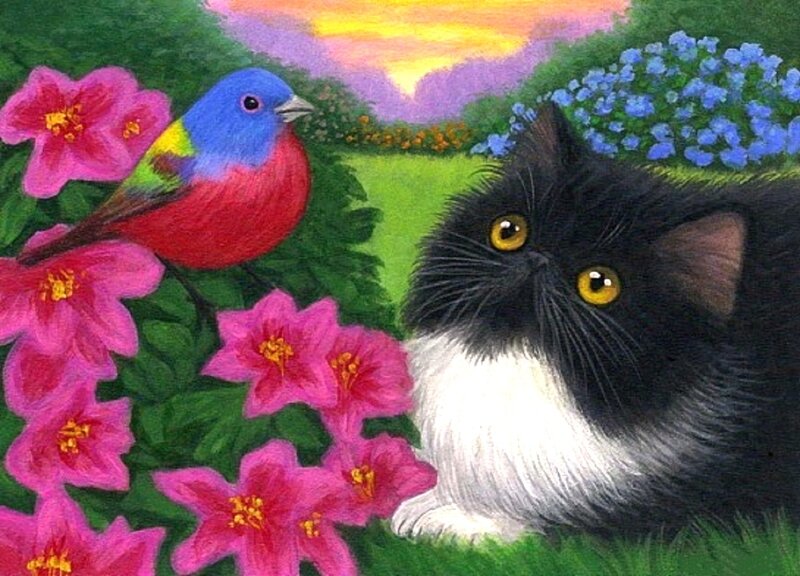 Black and White Cat — Green, Serene, Sunset