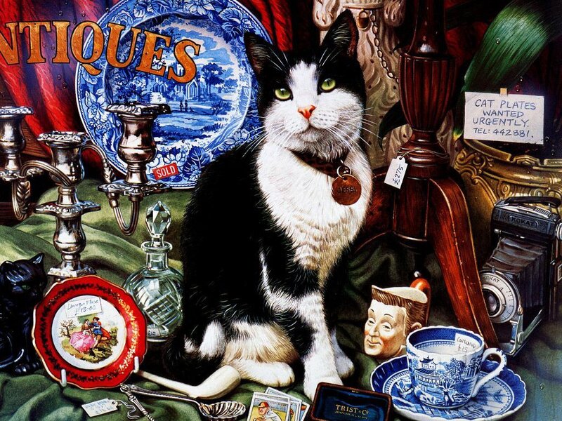 Black and White Cat — Green, Still Life