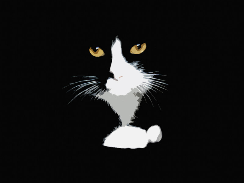black and white cat illustration
