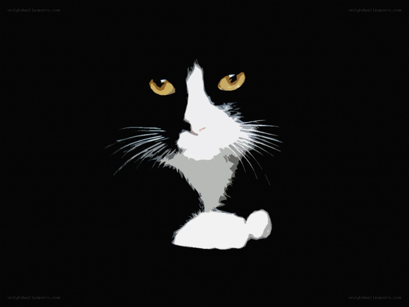 black and white cat illustration