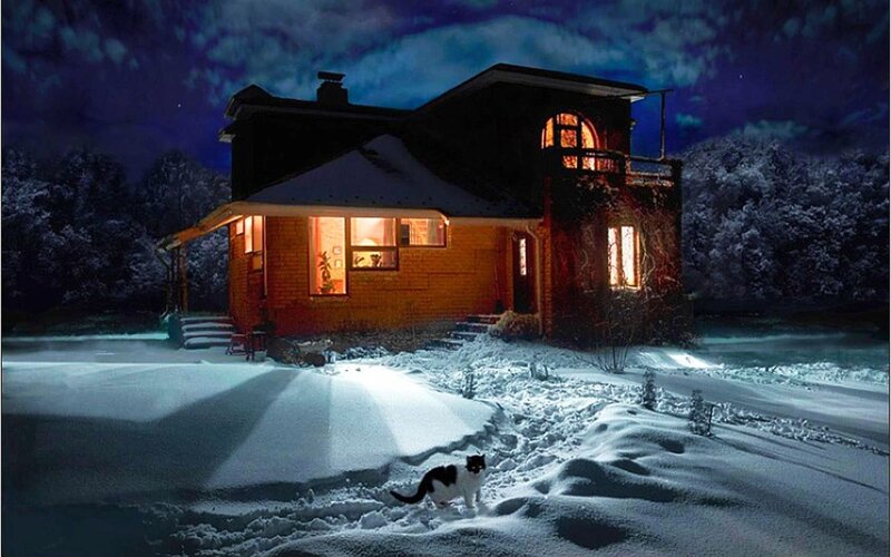 Black and White Cat in Snow — Blue