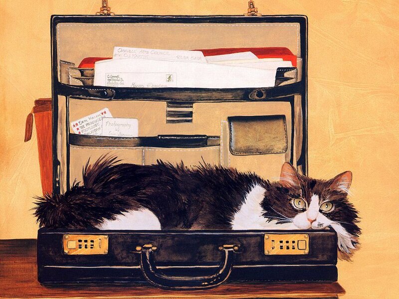 Black and White Cat in Suitcase
