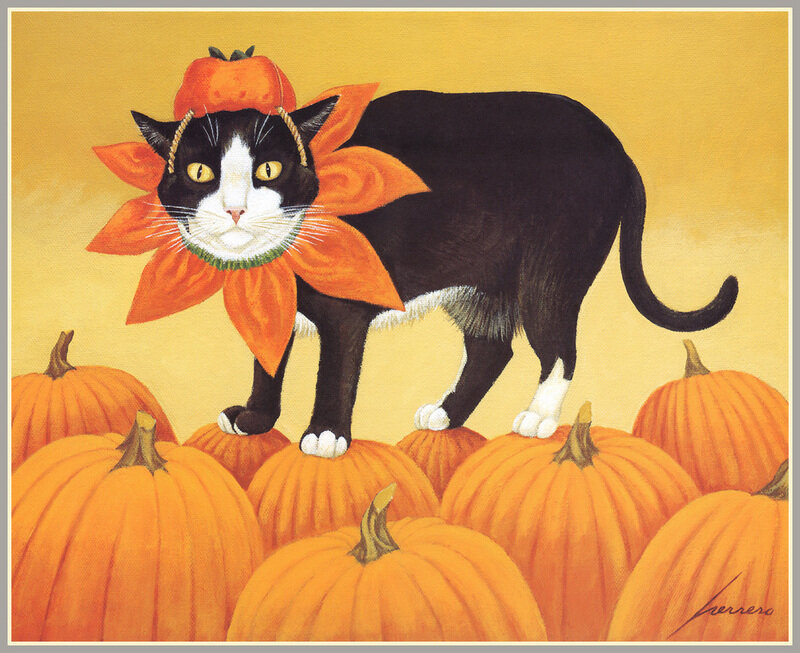 Black and White Cat — Orange, Festive