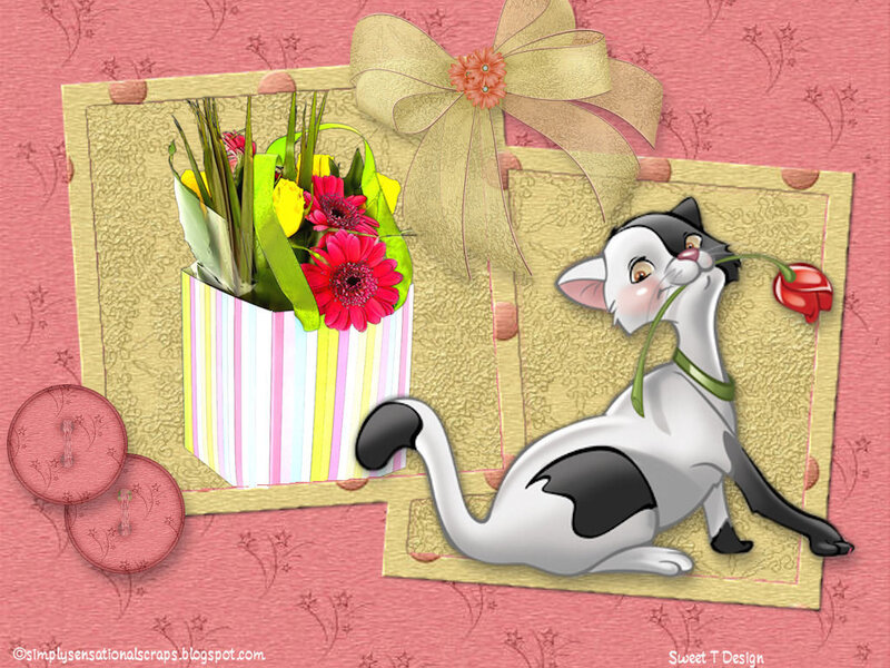 Black and White Cat — Pink, Cheerful