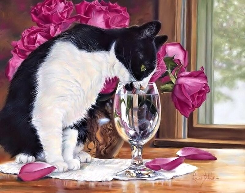 Black and White Cat — Pink, Serene, Afternoon