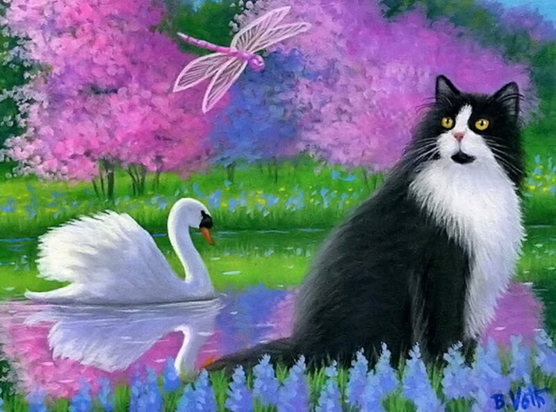Black and White Cat — Purple, Serene