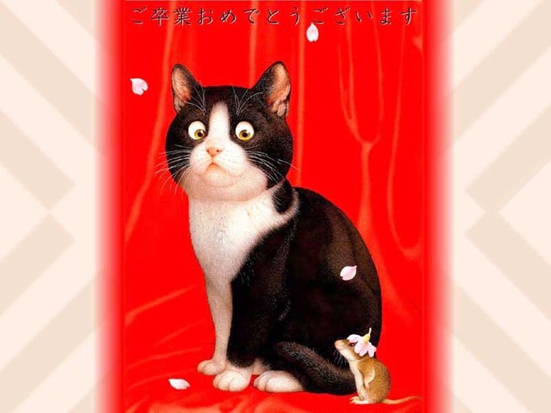 Black and White Cat — Red, Festive, Spring