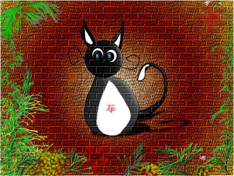 Black and White Cat — Red, Playful