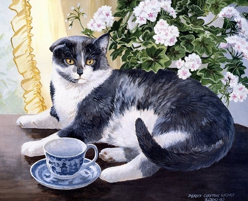 Black and White Cat — Serene, Painting