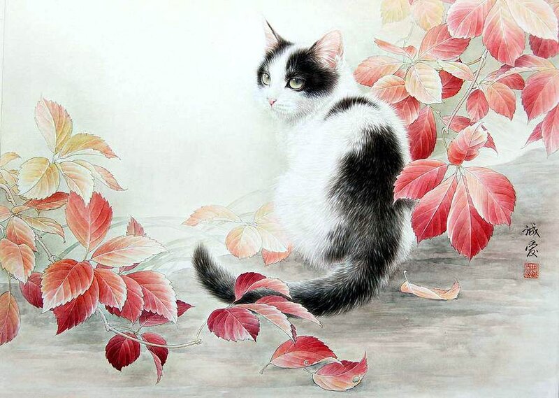 Black and White Cat — Serene