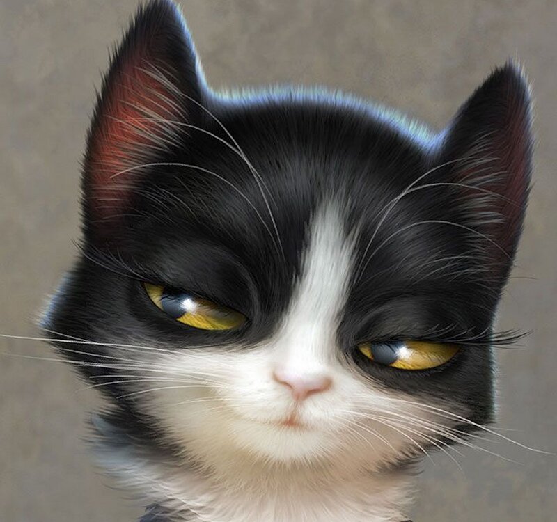 Black and White Cat — Serious, Digital Art
