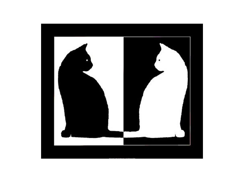 Black and White Cat Silhouettes