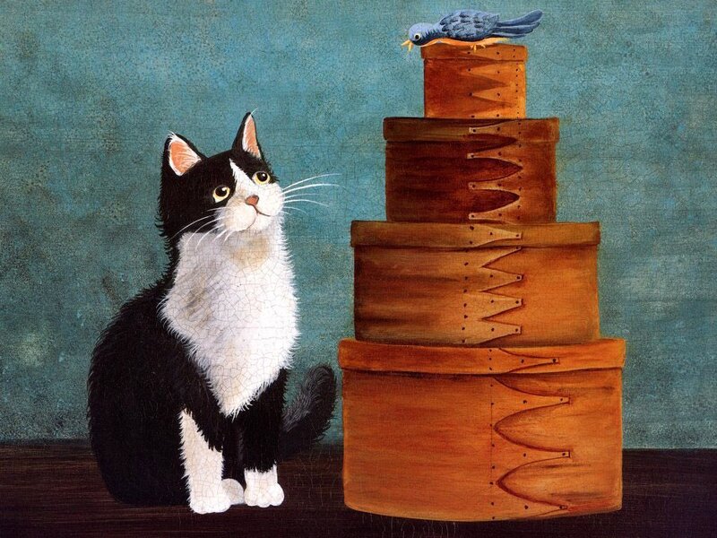 Black and White Cat