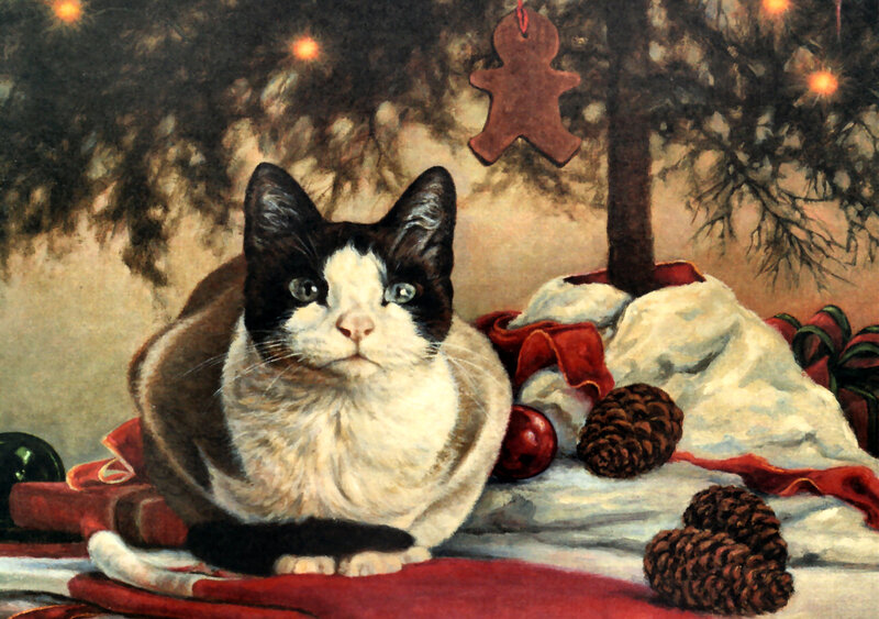 Black-and-white Cat — White, Festive