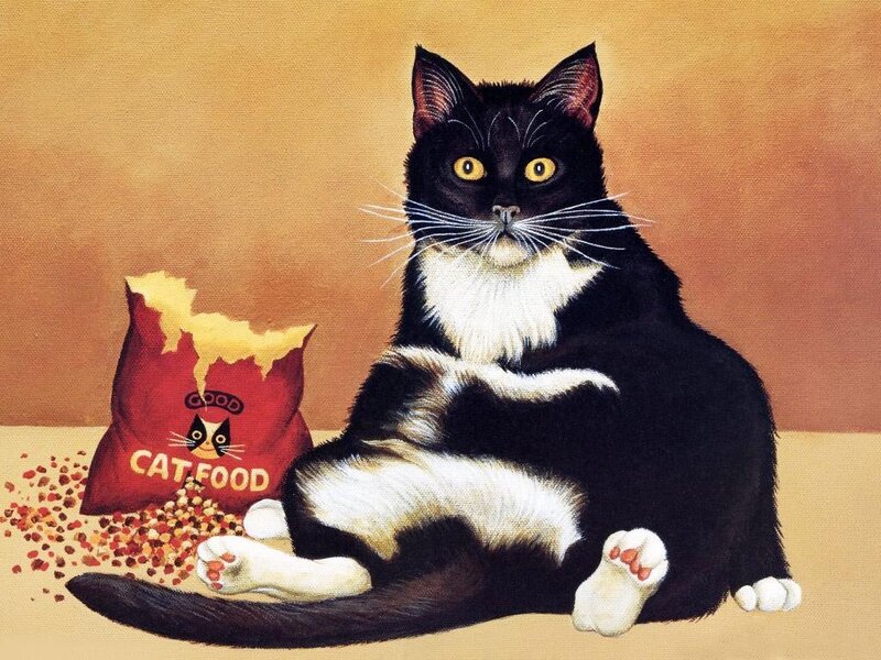 Black and white cat with cat food
