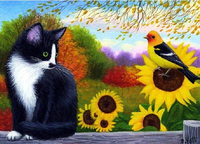 Black and White Cat — Yellow, Serene, Autumn
