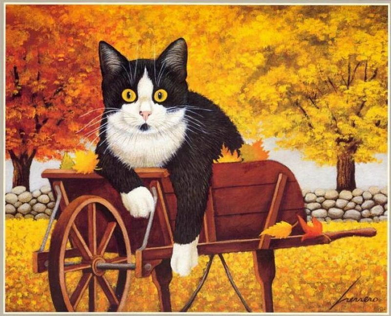 Black and White Cat — Yellow, Serene