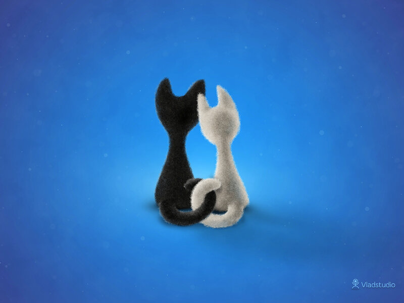 Black and White Cats — Blue