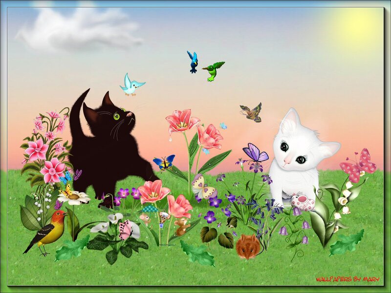 Black and White Cats in Garden
