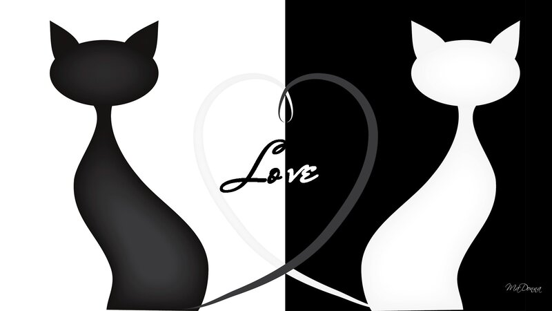 Black and White Cats — Minimalist