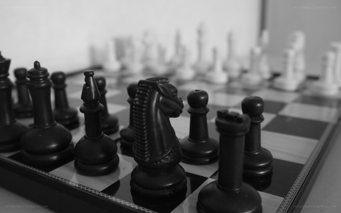 Black and white chess pieces