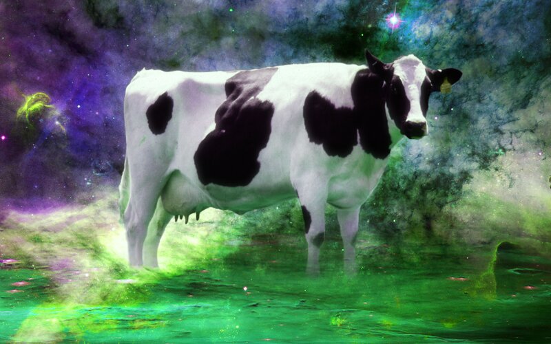 Black and White Cow — Green, Cosmic