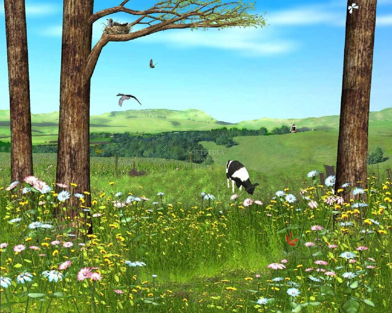 Black and White Cow