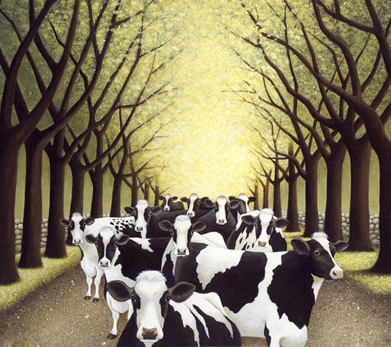 Black and White Cows — Serene, Morning